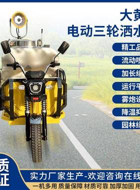 电动三76005轮洒水车新车能源工地除尘炮洒水高扬雾园林程绿化洒