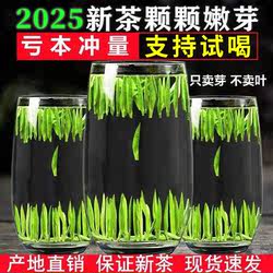绿茶雀舌茶叶绿茶2025新茶明前特级嫩芽毛尖春茶浓香湄潭翠芽茶叶