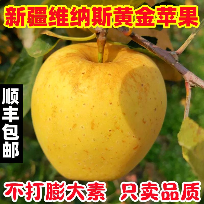 新疆阿克苏黄胖子维纳斯黄金苹果水果新鲜奶油富士丑苹果