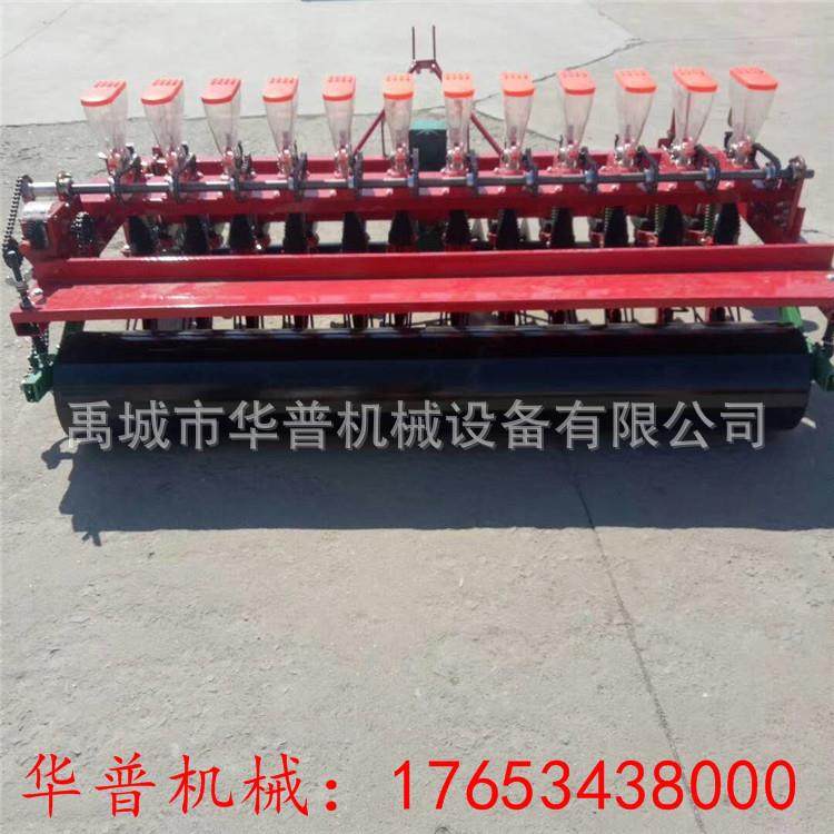 小粒蔬菜播种机油菜播种机胡萝卜香菜菠菜辣椒种植机小白菜播种机,家装灯饰光源,其它灯具灯饰,淘宝优惠券,粉丝福利购,淘宝优惠卷