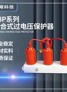 高压10KV三相过电压保护器TBP-B-12.7/N/131三柱四柱柜内带计数器