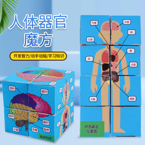 科学实验人体器官魔方盒子 小学生科技小制作手工DIY益智stem教具