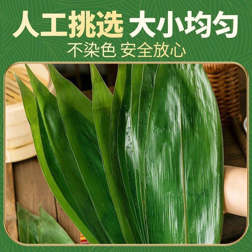 新鲜大号精选粽子叶｜端午包粽