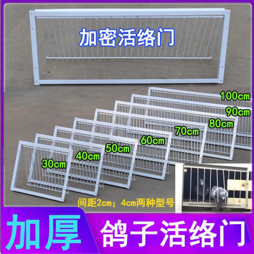 鸽子活络门加密撞门专用加厚进笼