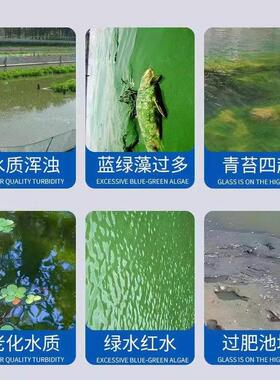 苔一次净室外鱼池除藻去青苔剂产养殖鱼塘水池蓝藻绿虾水水清WRU