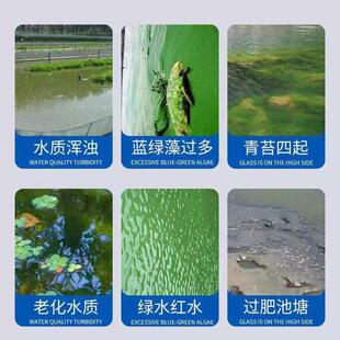 苔一次净室外鱼池除藻去青苔剂产养殖鱼塘水池蓝藻绿虾水水清WRU