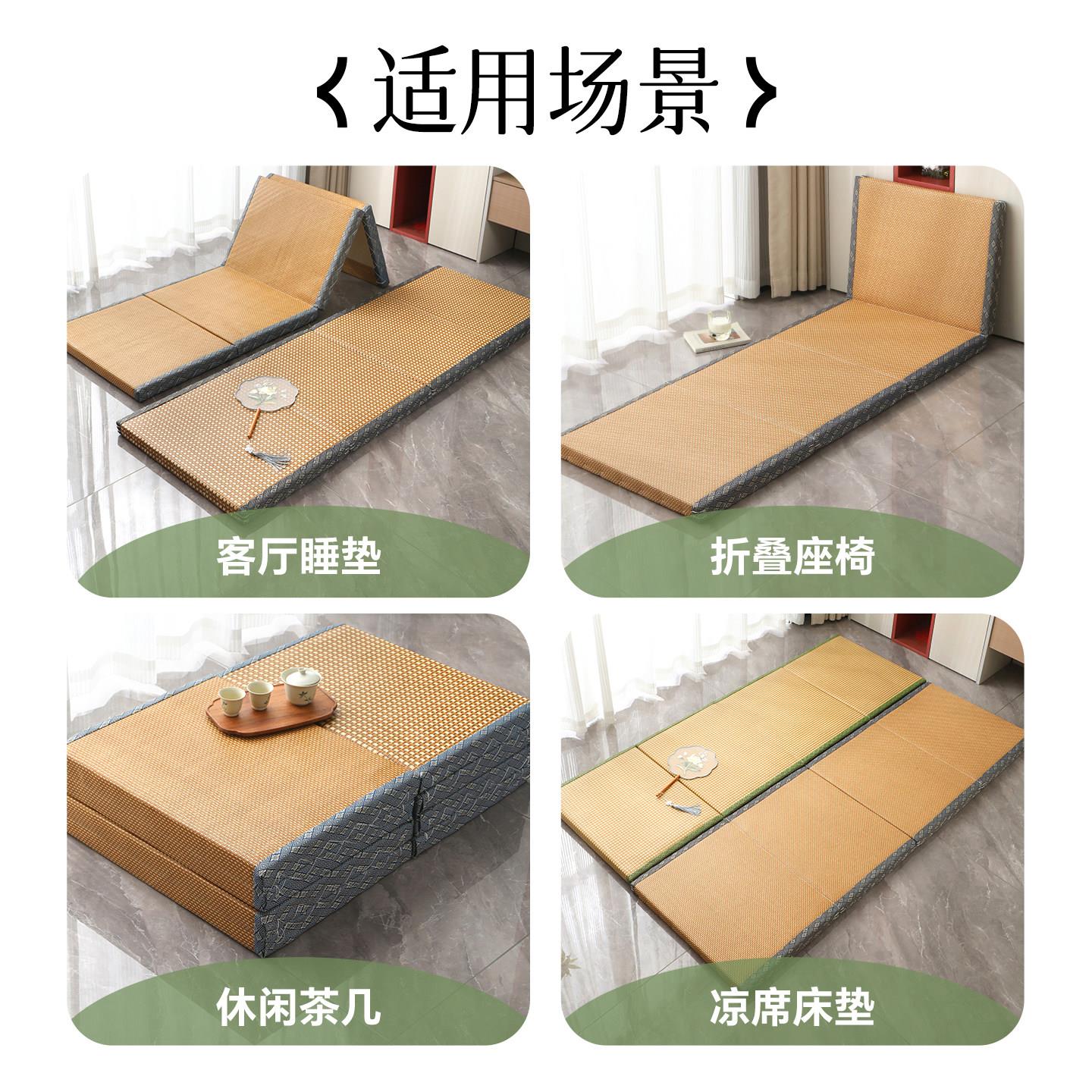 榻米地垫地可折地叠上夏22季椰棕床垫直接铺凉席垫专用打舖午休睡