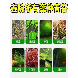 【一次藻净鱼缸除藻去剂蓝CHE青苔绿清除鱼池除褐藻水草除藻】神