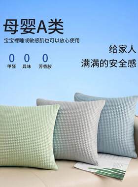 夏季NUV丝睡枕、冰豆枕、沙发腰枕、冰双边面凉感靠背枕床套