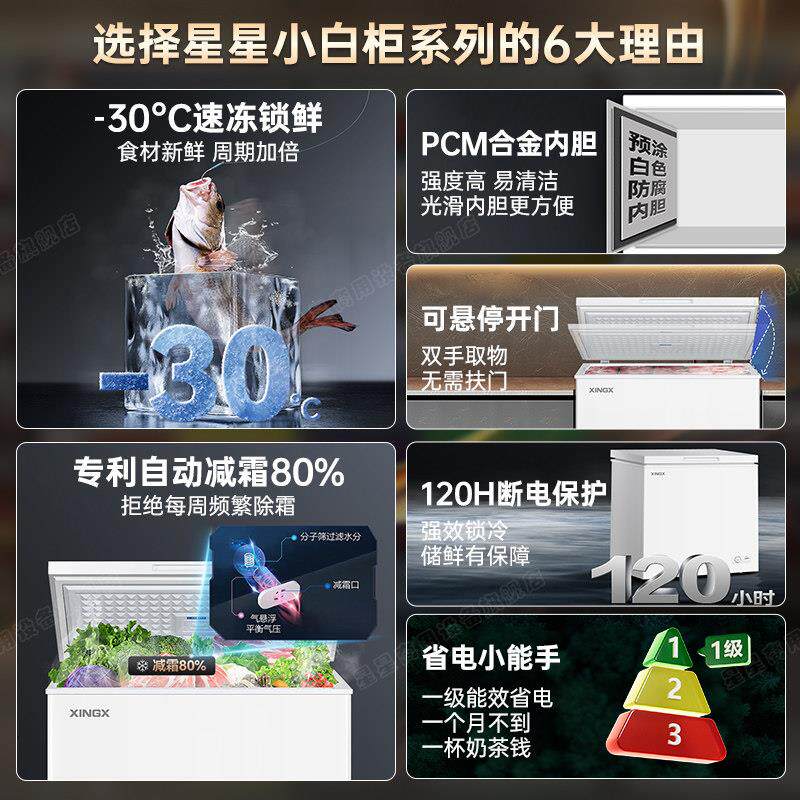 星星冰柜家用小型15用0/200升/300L冷藏冷冻柜BD\/BC-1两减一霜级