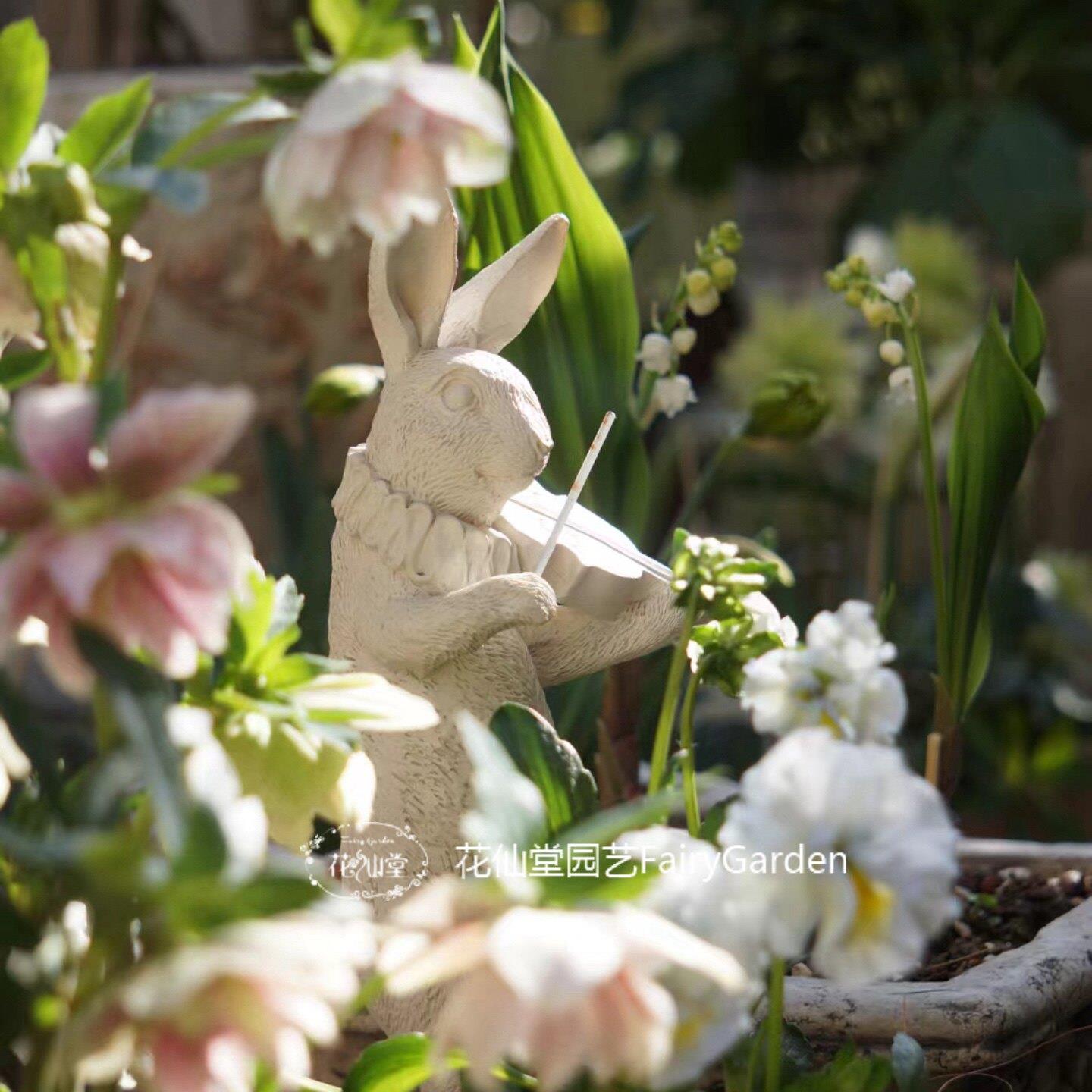 货CCL花仙花复园阳台古树脂拉堂小提琴兔子摆件花园装饰品园艺杂