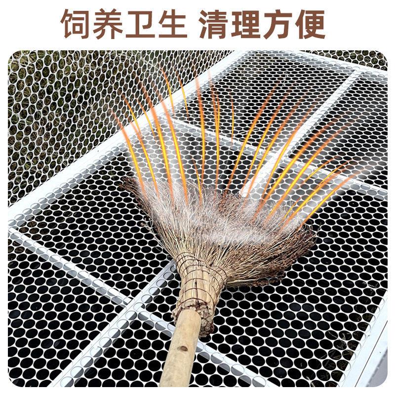 鸡笼子养殖笼鸭鹅笼大号特大鸽子兔子笼鸡舍户外铁丝网家用养鸡笼