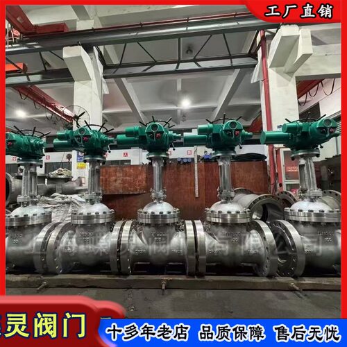蝶灵 Z941W-16P  电动不锈钢闸阀DN150 水处理远程操控法兰闸阀