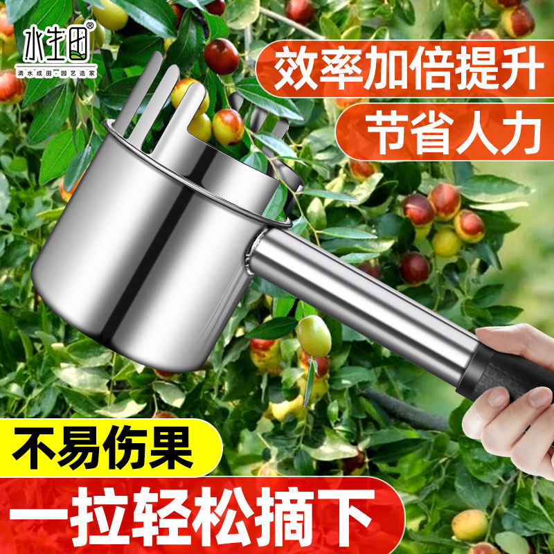 速发摘酸枣神器不锈蓝摘果器采摘山枣枇杷野果钢莓花椒新款工具
