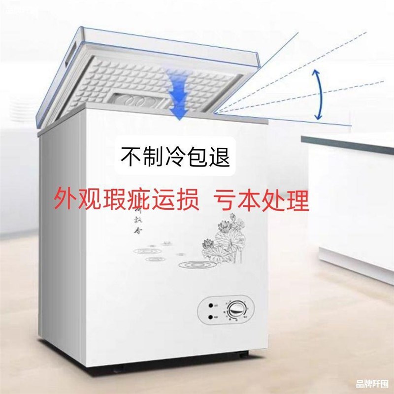 速发柜租保温柜饭店运式便利店单人商店输房长方形损伤迷你小冰柜