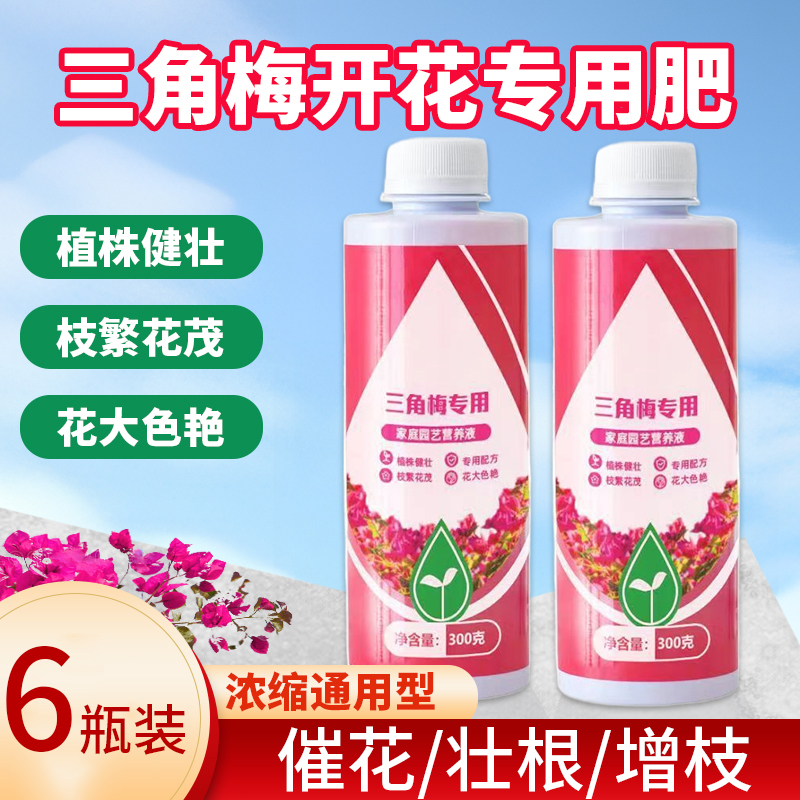 速发三角梅营养液肥开骨促花爆花花粉繁合肥料养花枝复叶茂促开花