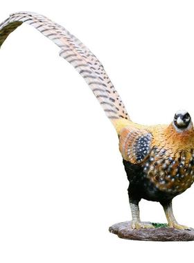 户外庭院花园林景观装饰玻璃钢雕塑工艺品定制仿真动物长尾雉摆件