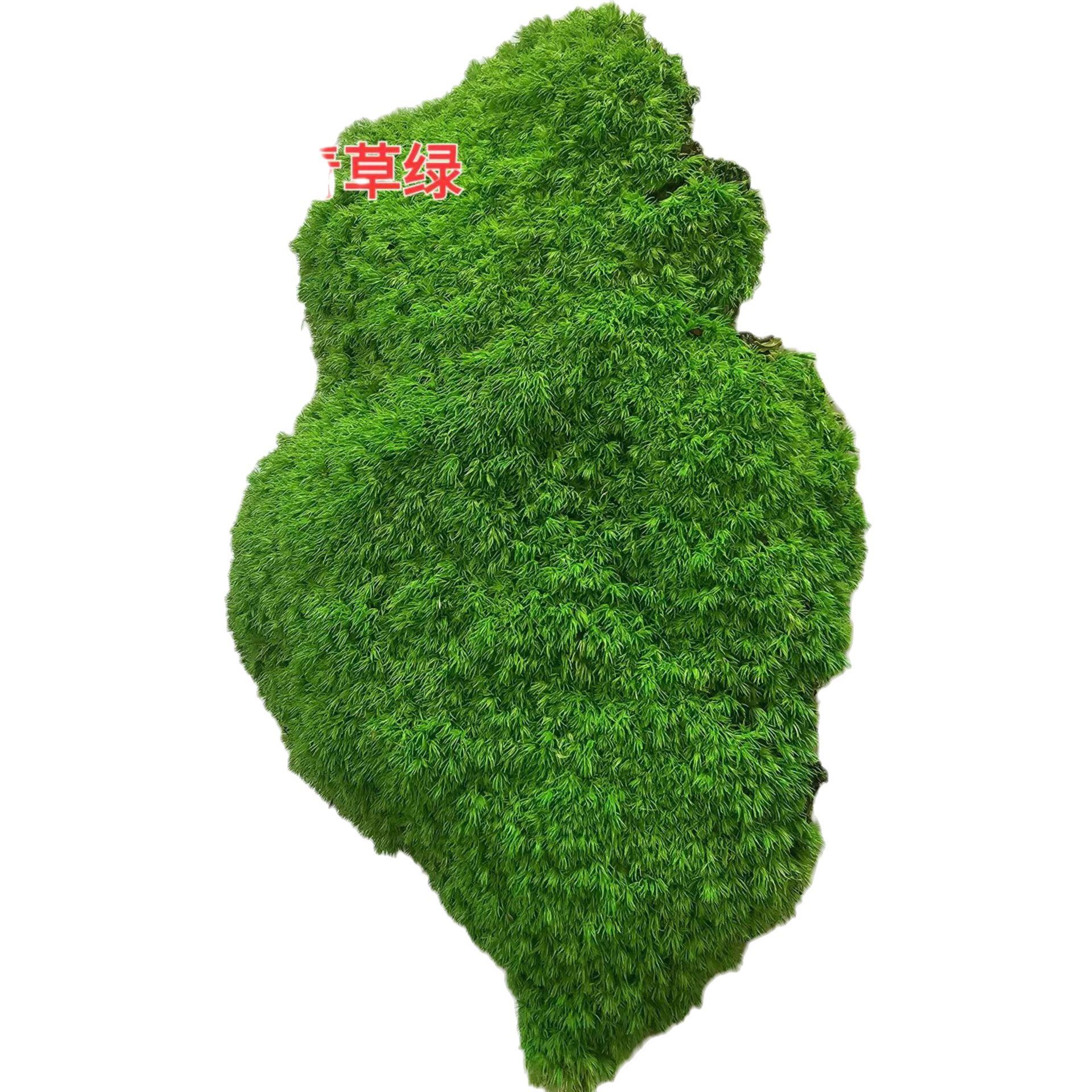 永生白发藓仿真草坪地毯绿植墙庭院铺面园林建设微景观东南亚