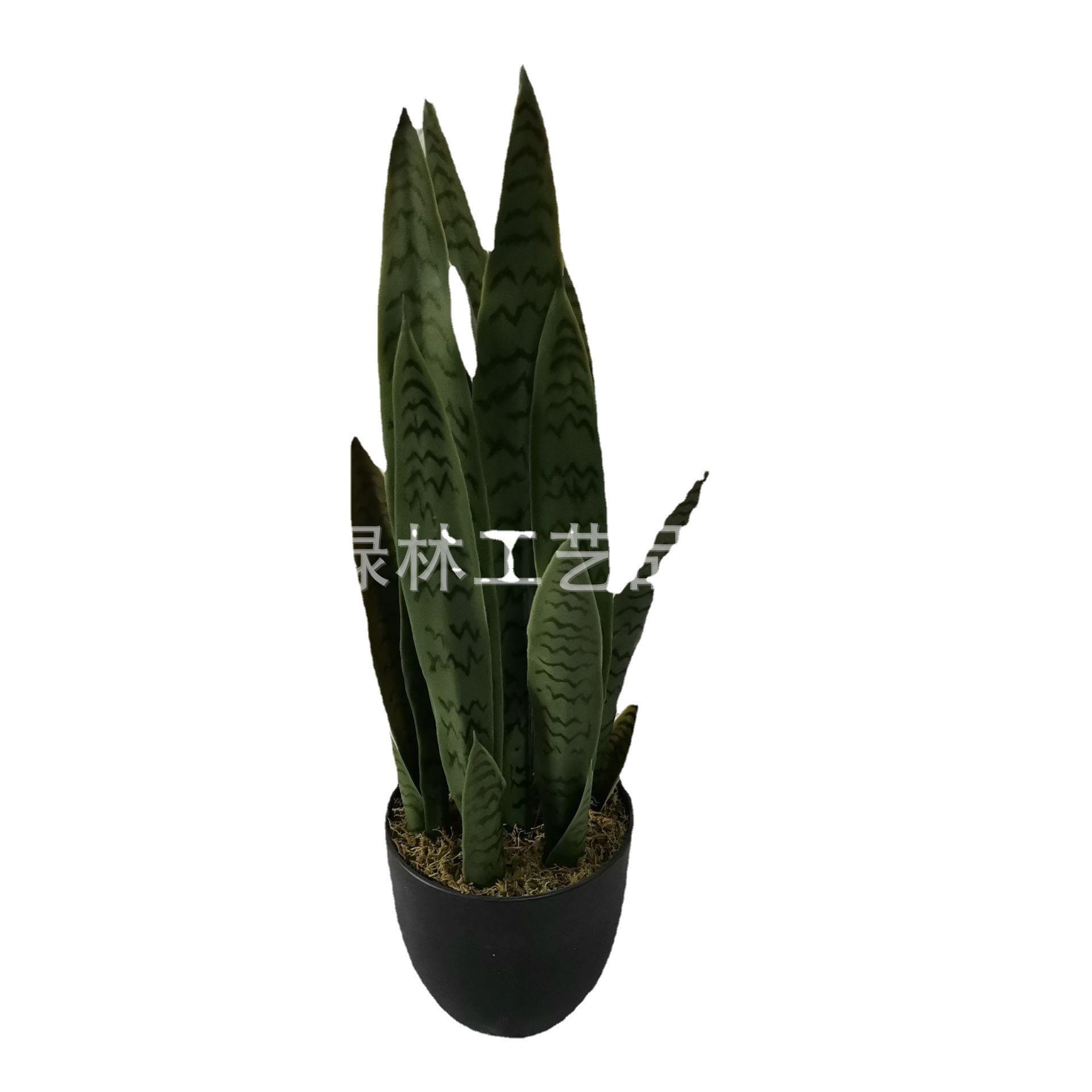 仿真虎皮兰芦荟落地盆栽家居店铺装饰橱窗摆件落地盆栽