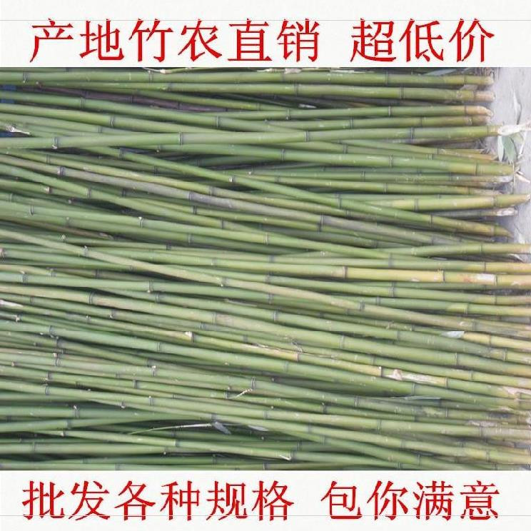 栅栏冬瓜爬架地面小竹子细竹竿园艺细果蔬插杆西红柿支架子晒衣杆