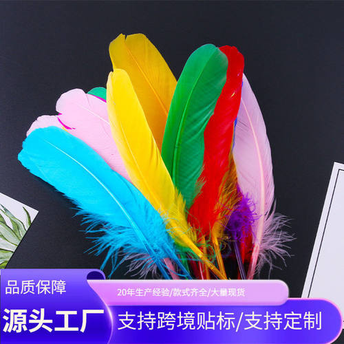 彩色水洗窝领羽毛鹅毛幼儿益智早教DIY手工工艺品装饰材料