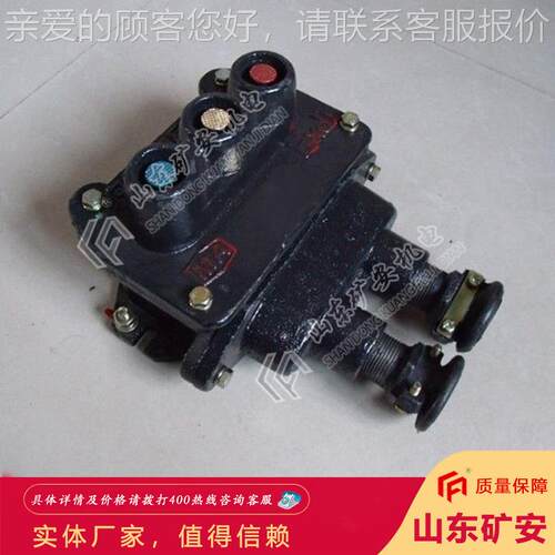 量大订购矿用隔爆型控型制按结构特点BA矿ZBZA用隔爆控制按钮钮