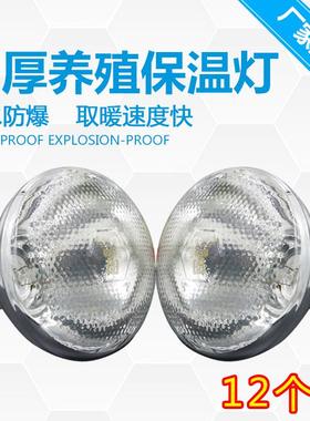 猪场保灯小鸡保暖养殖场专用仔猪52689烤灯温发养鸡热加热雏取育