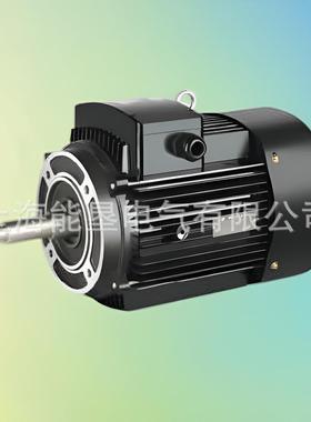 多级泵电动机格兰富27462款CDL立式三步相异电机8Y30ME2-2-1.1KW