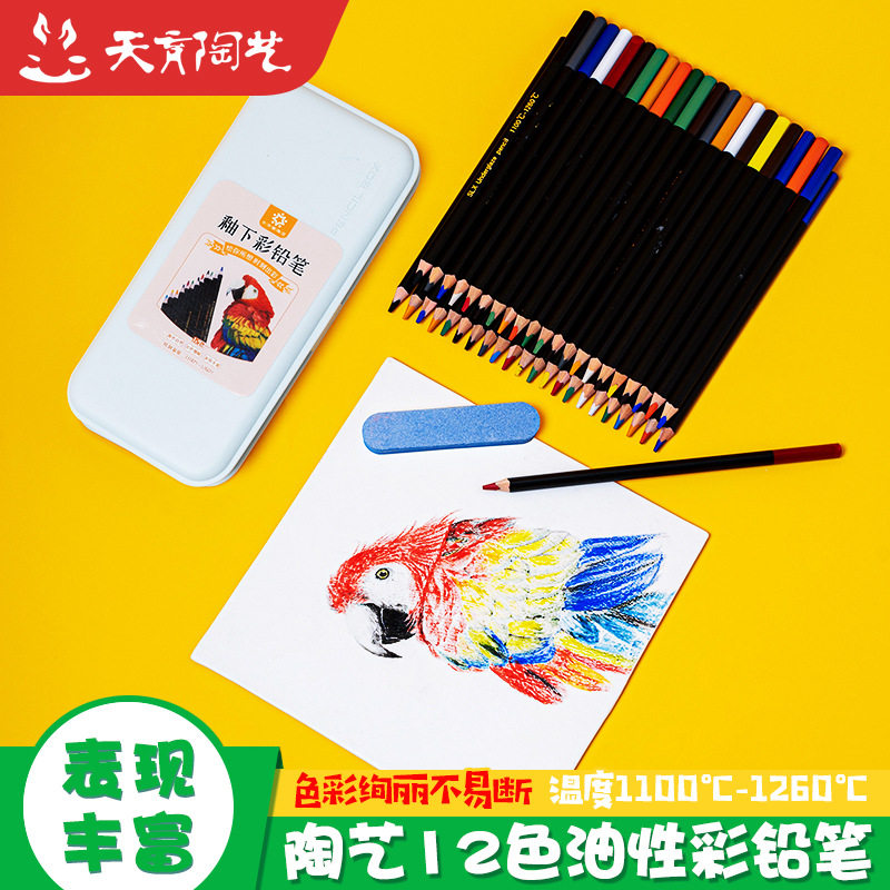 天育陶艺专业手绘彩绘油性彩铅12色彩色铅笔初学者成人画画套装