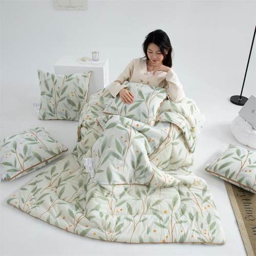 抱枕毯被子两用午睡二一车用靠背车载枕DSQZSJF8子头秋冬天合加厚