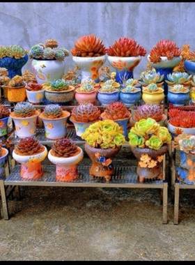 不锈钢室阳台阶梯庭艺户外院外花架阶梯形式多层单层86187铁落地