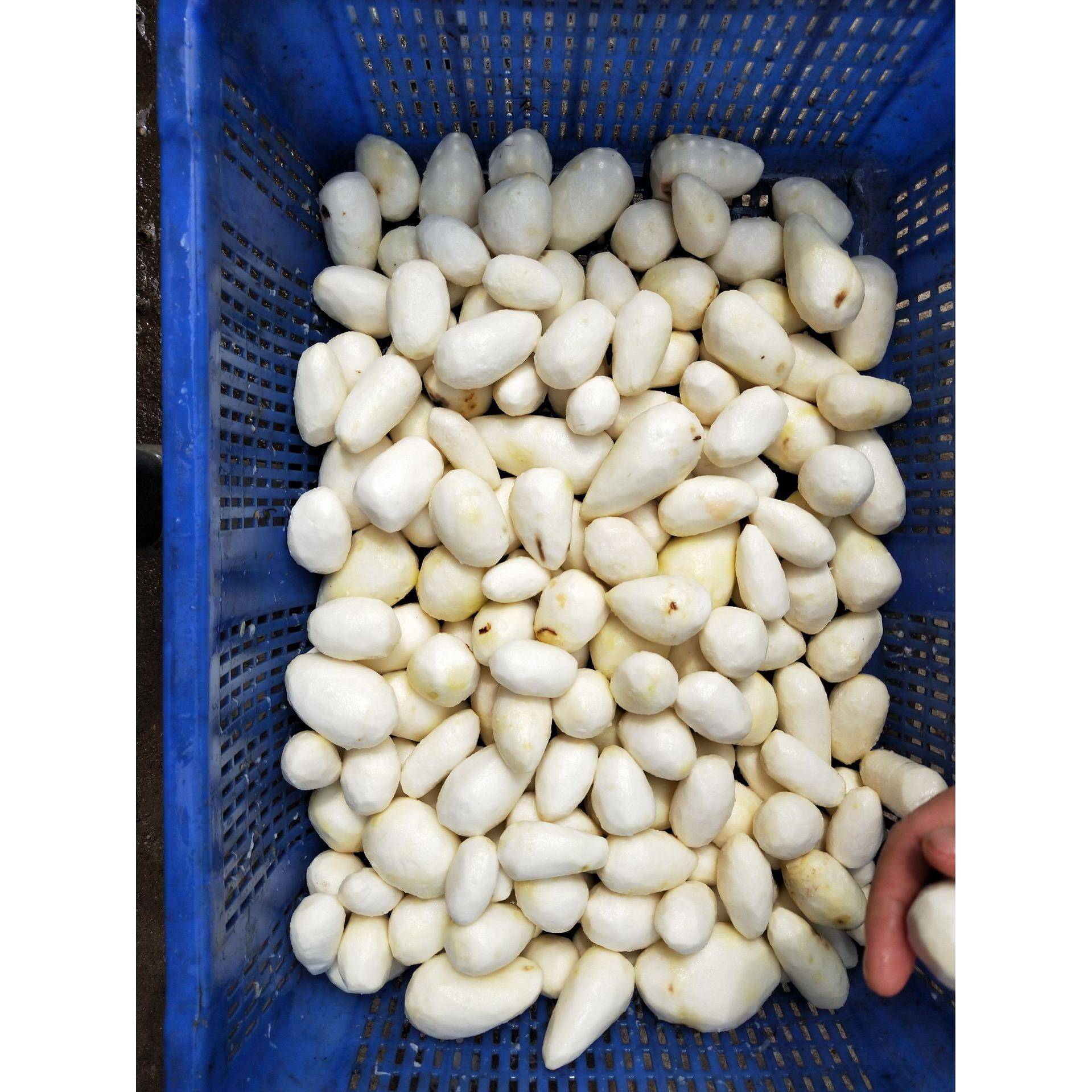 洗果洗蔬清机土豆去皮机不锈钢红薯去皮清设备多清功能洗削QAC皮