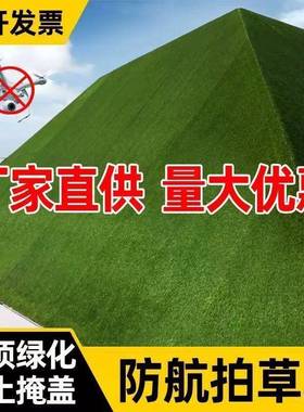 饰地毯户DD101841外地庭草坪人造绿工地围挡院绿化草皮绿植幼装儿