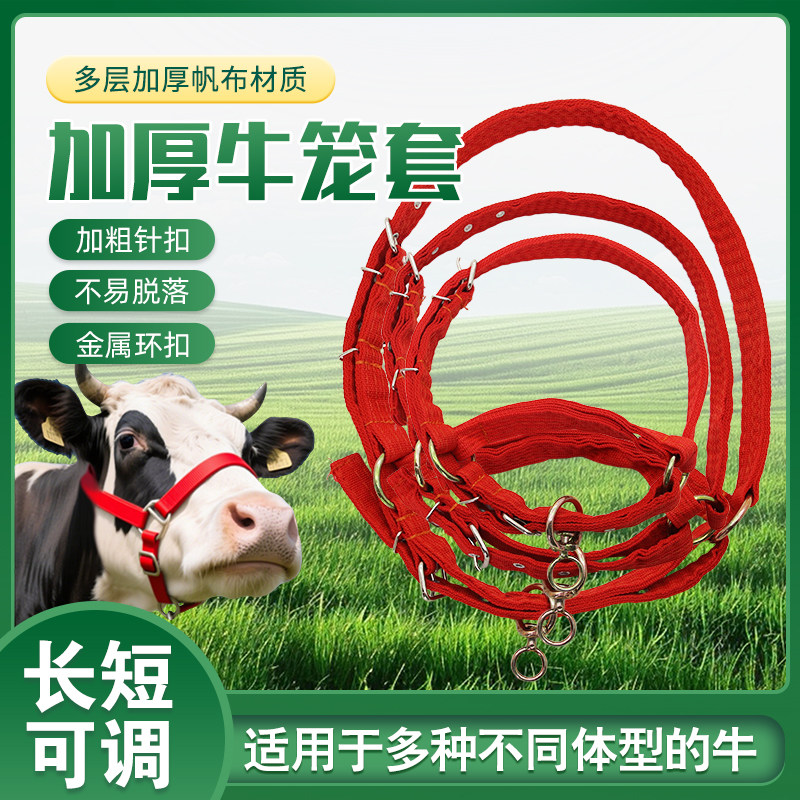 牛笼头套栓牛笼头牛头套拴牛绳子缰绳小牛大牛龙头牛笼嘴牛绳子,畜牧/养殖物资,养殖用具,淘宝优惠券,粉丝福利购,淘宝优惠卷