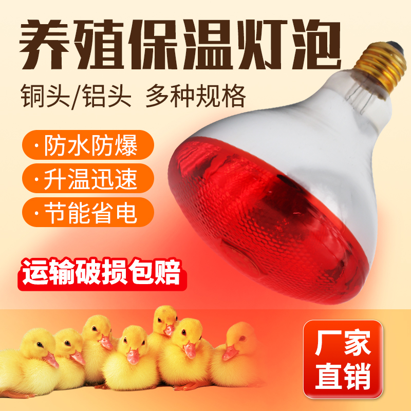 养殖保温灯泡猪用保温灯育雏