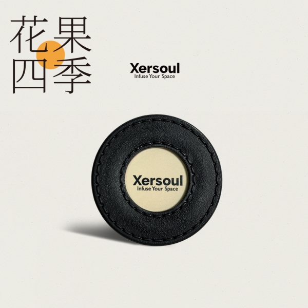 车内汽车果o 进口」er香料除臭司所「四季扩lu香 车载香氛X s花