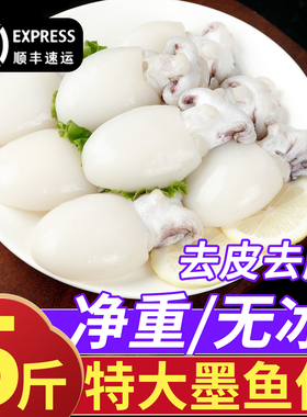新鲜海捕捞冷冻墨鱼仔烧烤火锅食材速冻特大个商用批发乌贼小鱿鱼