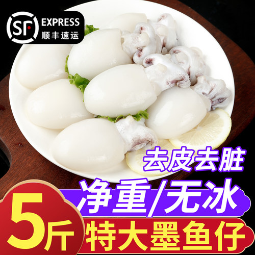 新鲜墨鱼仔！高品质！高评分！