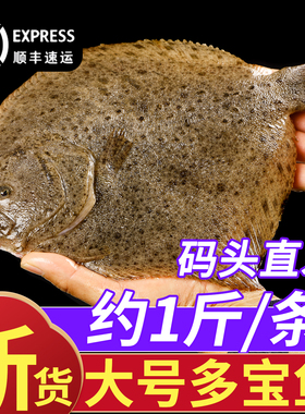 多宝鱼新鲜冷冻比目鱼八宝鱼超大鸦片鱼鲽鱼特大海鱼商用批发海捕