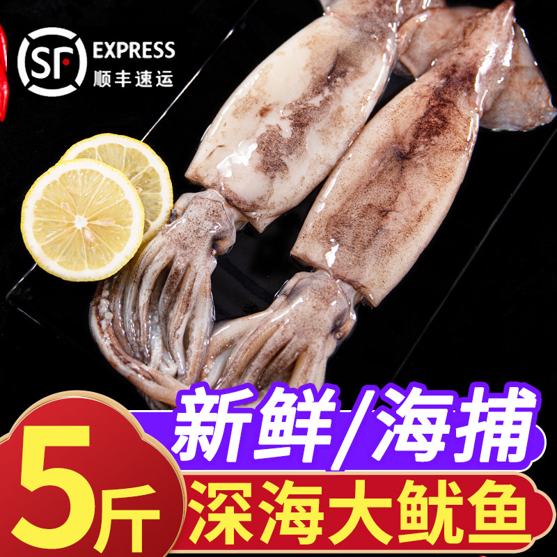 新鲜大鱿鱼冻冷深海鲜食材海捕整只铁板烧烤火锅整条商用批发5斤,水产肉类/新鲜蔬果/熟食,冷冻鱿鱼,淘宝优惠券,粉丝福利购,淘宝优惠卷