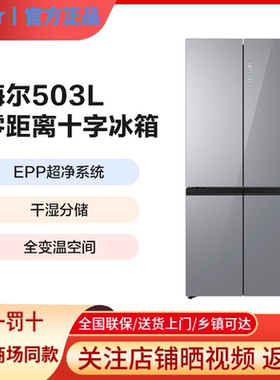 Haier/海尔BCD-503WGHTD45ASU1零嵌入式风冷无霜一级能效保鲜冰箱