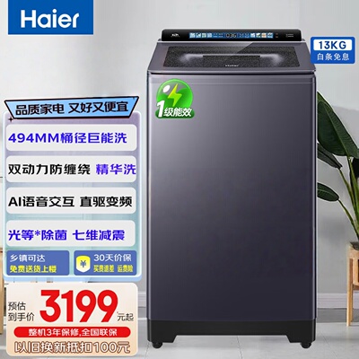 Haier/海尔XQS130-BEV77A3双动力波轮洗衣机13公斤精华洗语音交互