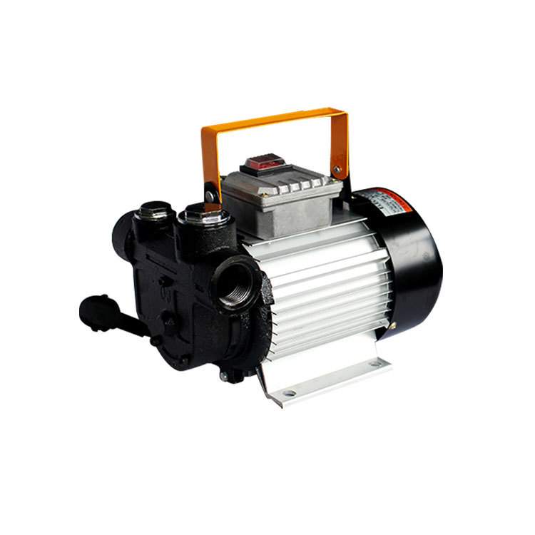 奥诚ACTP60 220v电压抽油泵电动加油泵 直流加油泵吸油泵柴油泵
