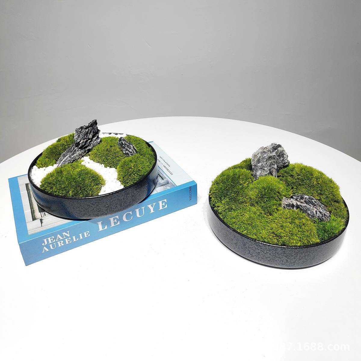 新中式仿真植物微景观永生苔藓仿生青苔室内造景茶室茶几前台摆件