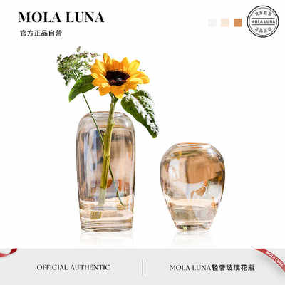 MOLA·Autumn·花瓶家用北欧轻奢透明丝光玻璃桌面插花摆件丨秋意