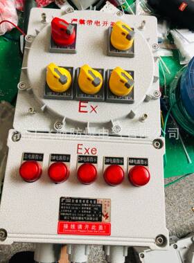 B/CDG58-DQ防爆动力配电箱(电磁起动)