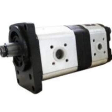 Hesper双向双泵  介绍