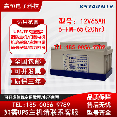 12V65AH铅酸免维护6-FM-65 UPS电源EPS直流屏用