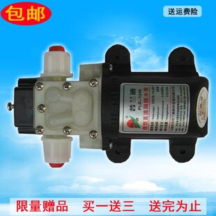 小型增压电动普兰迪直流微型水泵隔膜泵自吸泵12V24V小水泵抽水泵