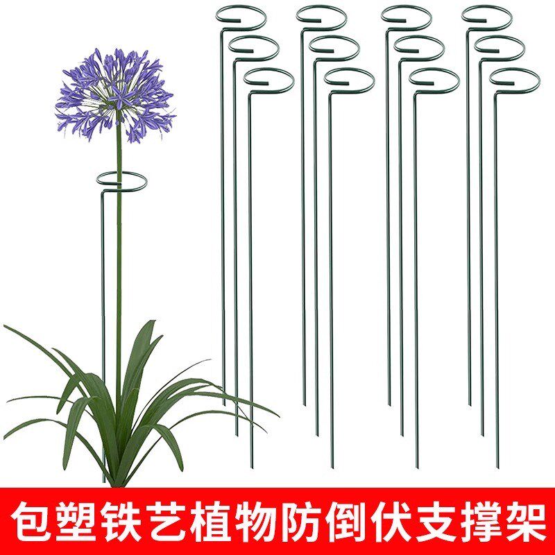 速发植物花架支倒杆朱顶红龟背竹园艺绿植花支架防撑插花绿萝固神